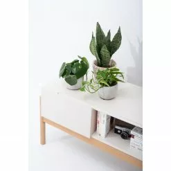 Studio Copenhagen TV-Lowboard Cooby I - Muschelweiß / Eiche Hell 18 Studio Copenhagen TV-Lowboard Cooby I - Muschelweiß / Eiche Hell -Kommoden Verkäufe 2023 1000276967 211015 08300600095 MOOD DETAILS P000000001000276967 mood