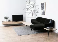 Ebuy24 Coy TV Tisch - Coy TV Tisch mit 2 Klapptüren Eiche furniert. -Kommoden Verkäufe 2023 48f1478760ef4f7ab9cfd7c9e1b9e391